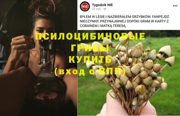 MESCALINE Александровское