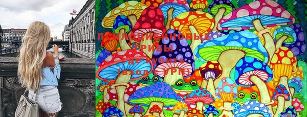 ECSTASY Козельск